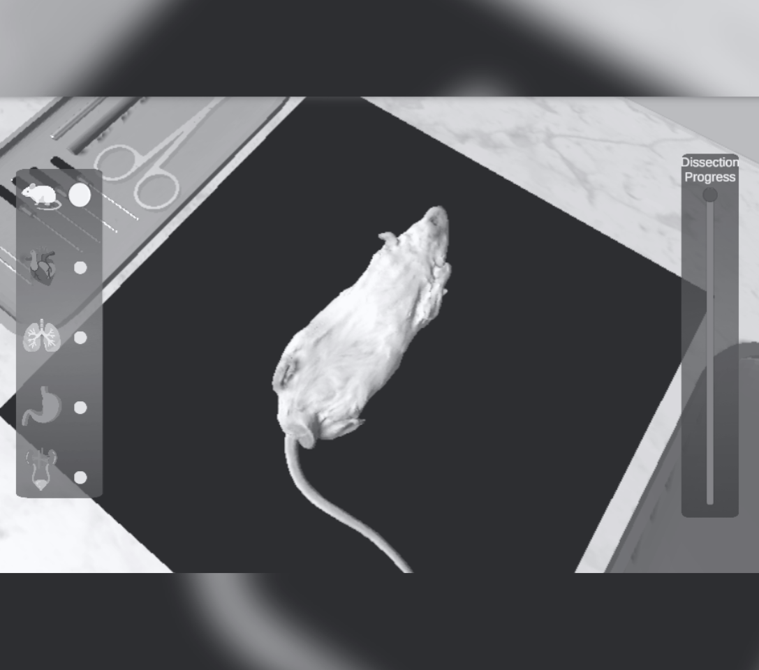 Cover preview of the project titled "Mouse Dissection (Content Warning)"